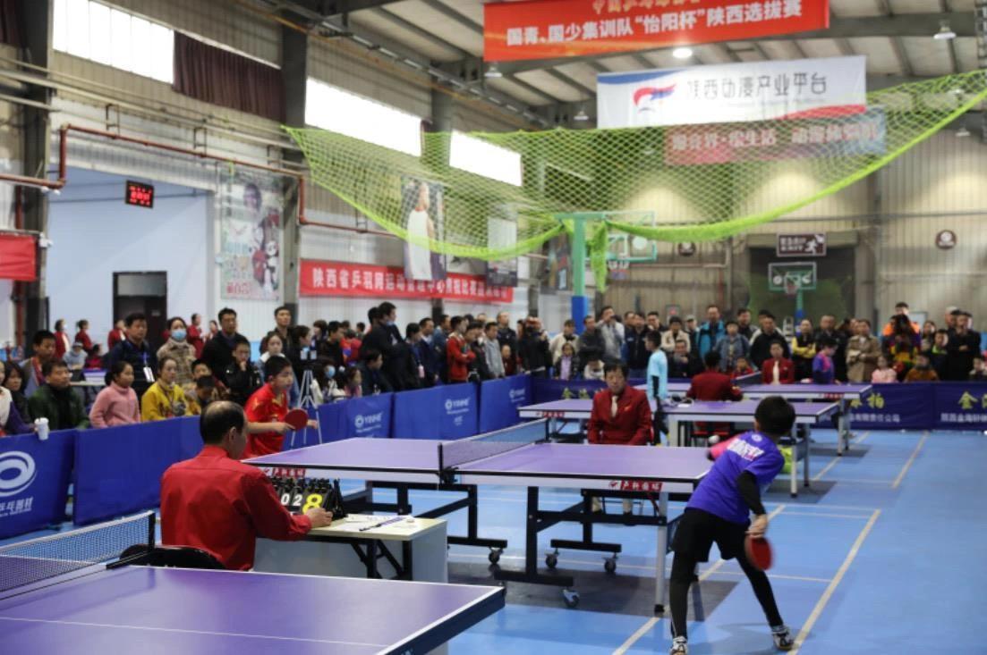 有一定人气 有一定人气