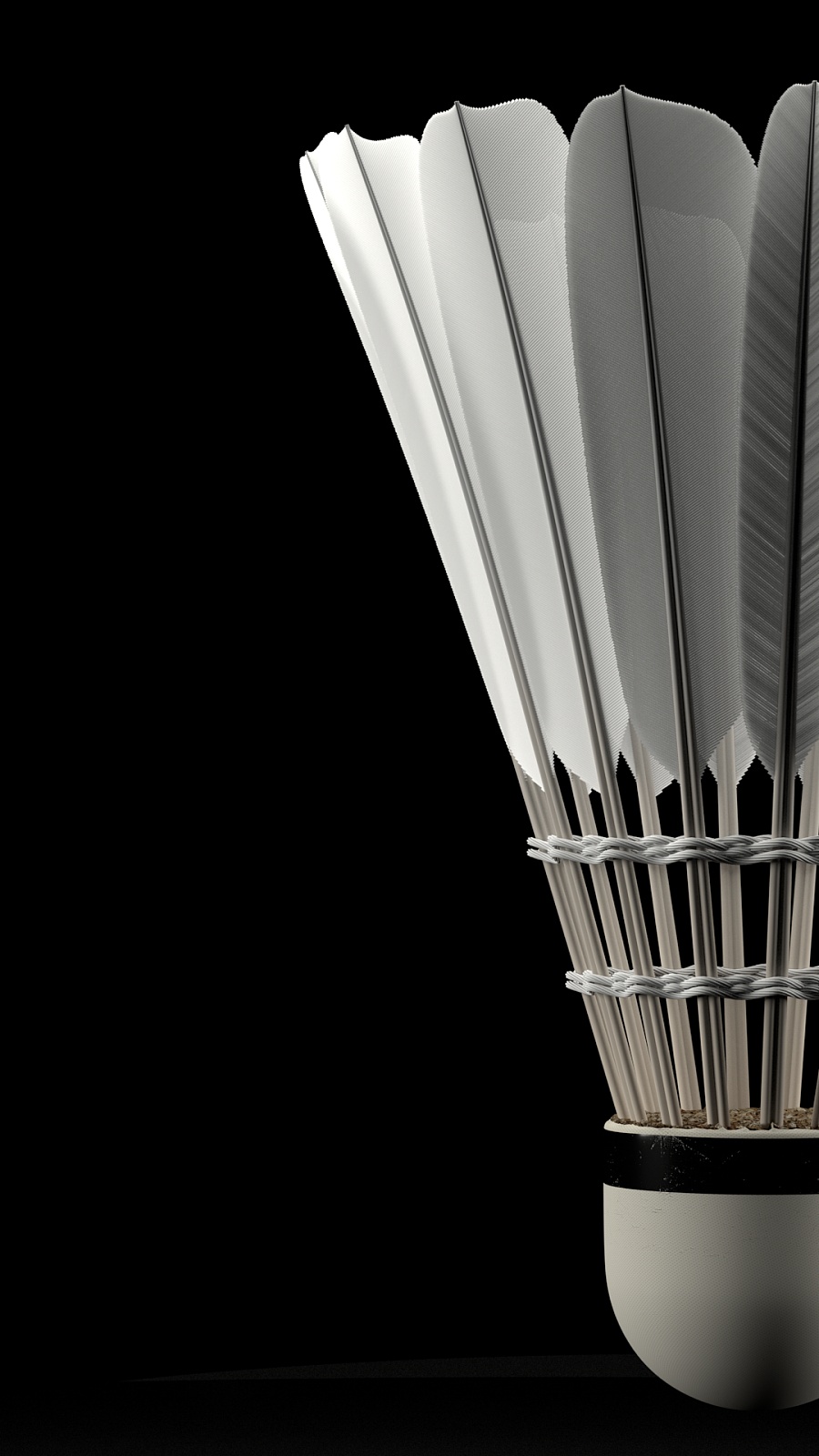 球队引进的 球队引进的