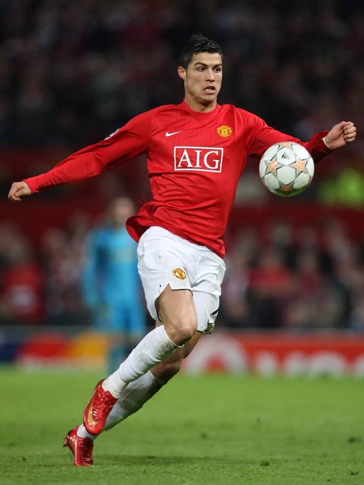 内线终结 内线终结